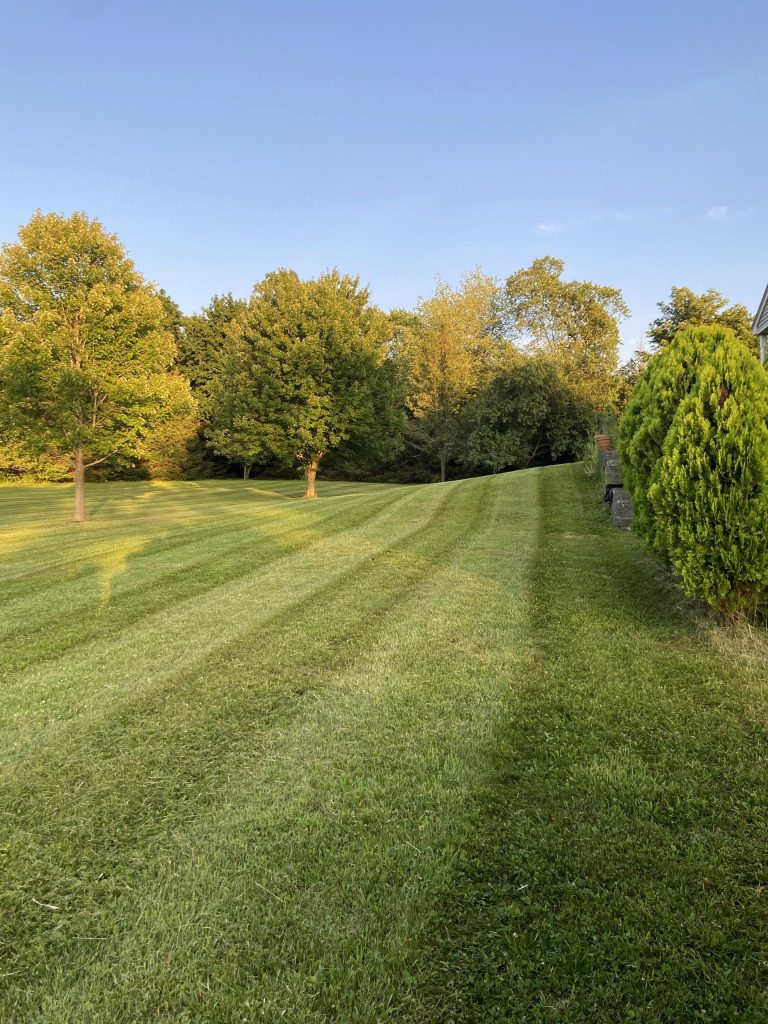 Mowing stripes running down a sloped back lawn - RN Land Management