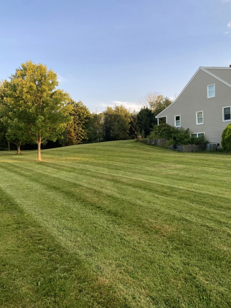 Edged and cleared side yard with a clean mow line - RN Land Management