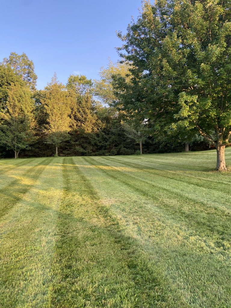 Full property lawn cut running to a dense tree line - RN Land Management